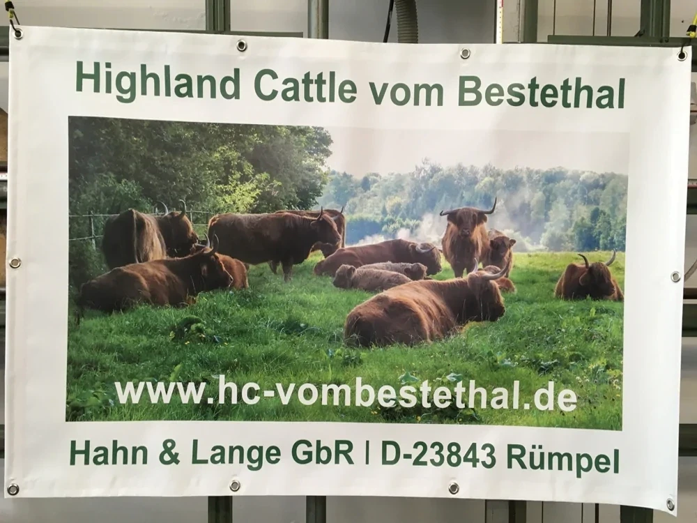 01 banner