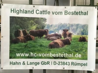 01 banner